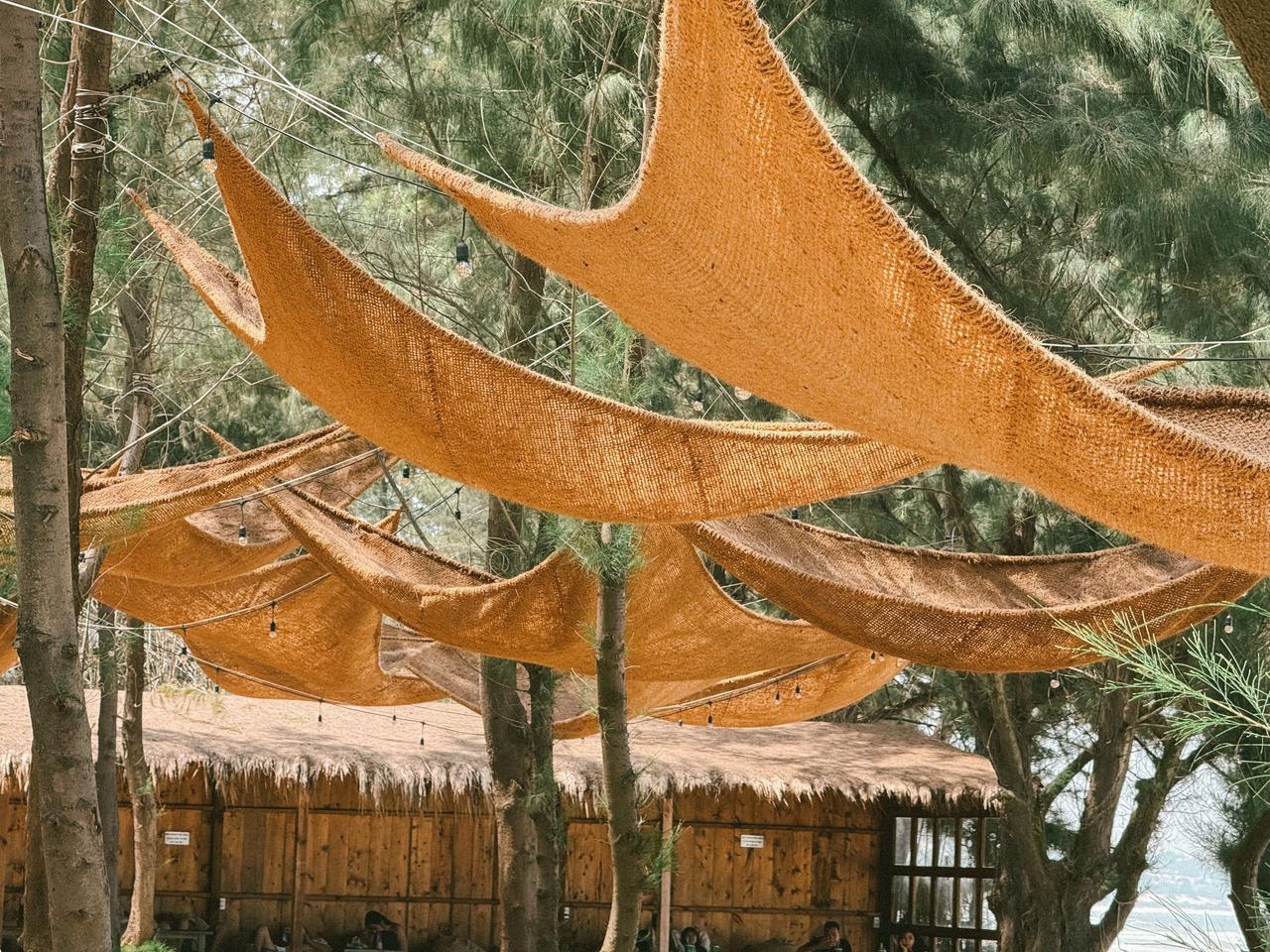 מפרשי צל מבד מתוחים בין עצים